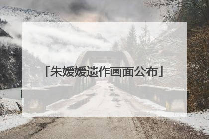 朱媛媛遗作画面公布